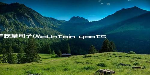 山羊吃草句子(Mountain goats grazing on grass A natural spectacle.)